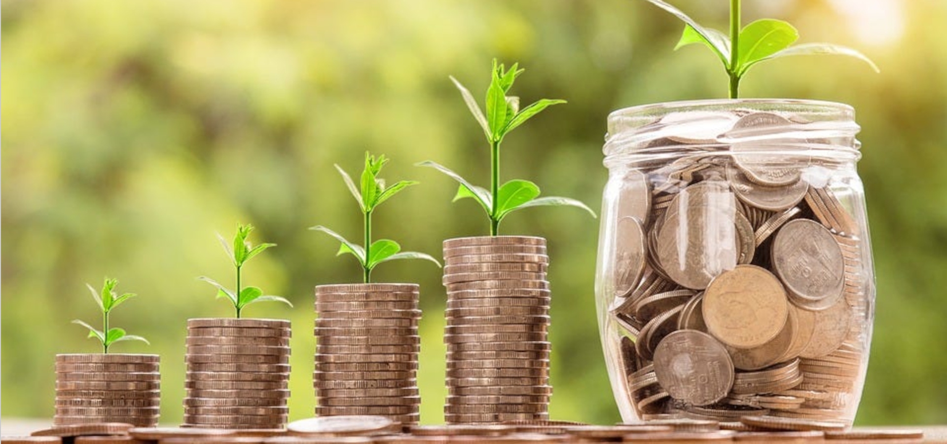 Financial Growth